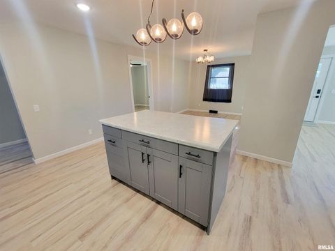 Tiny photo for 306 Bible Street, Flora, IL 62839 (MLS # EB460094)