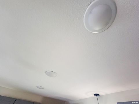 Tiny photo for 306 Bible Street, Flora, IL 62839 (MLS # EB460094)