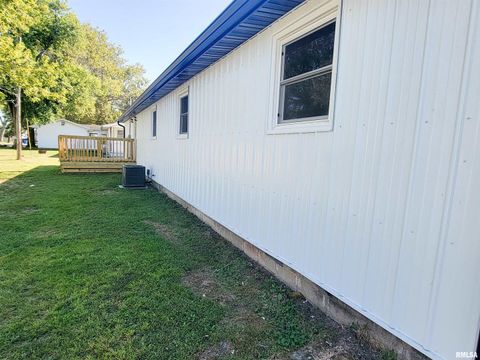Tiny photo for 306 Bible Street, Flora, IL 62839 (MLS # EB460094)