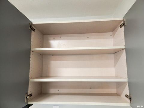 Tiny photo for 306 Bible Street, Flora, IL 62839 (MLS # EB460094)