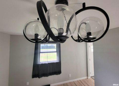 Tiny photo for 306 Bible Street, Flora, IL 62839 (MLS # EB460094)