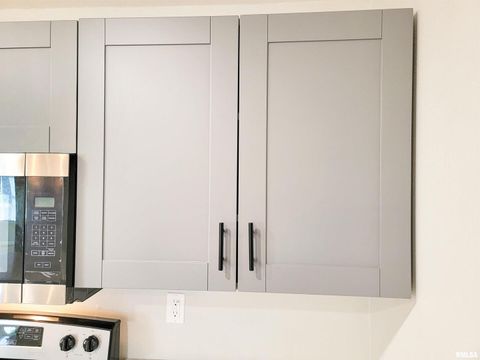 Tiny photo for 306 Bible Street, Flora, IL 62839 (MLS # EB460094)