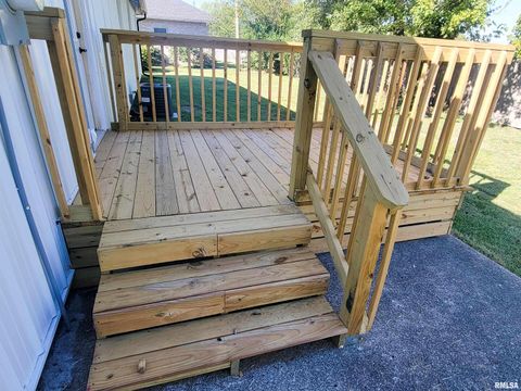 Tiny photo for 306 Bible Street, Flora, IL 62839 (MLS # EB460094)