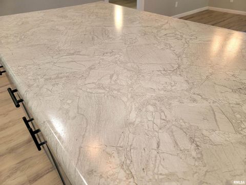 Tiny photo for 306 Bible Street, Flora, IL 62839 (MLS # EB460094)