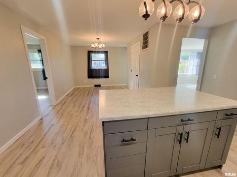 Tiny photo for 306 Bible Street, Flora, IL 62839 (MLS # EB460094)