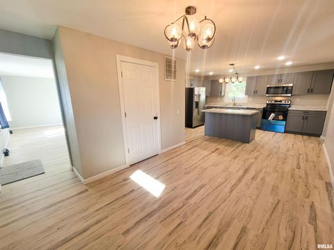 Tiny photo for 306 Bible Street, Flora, IL 62839 (MLS # EB460094)