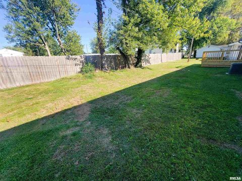 Tiny photo for 306 Bible Street, Flora, IL 62839 (MLS # EB460094)