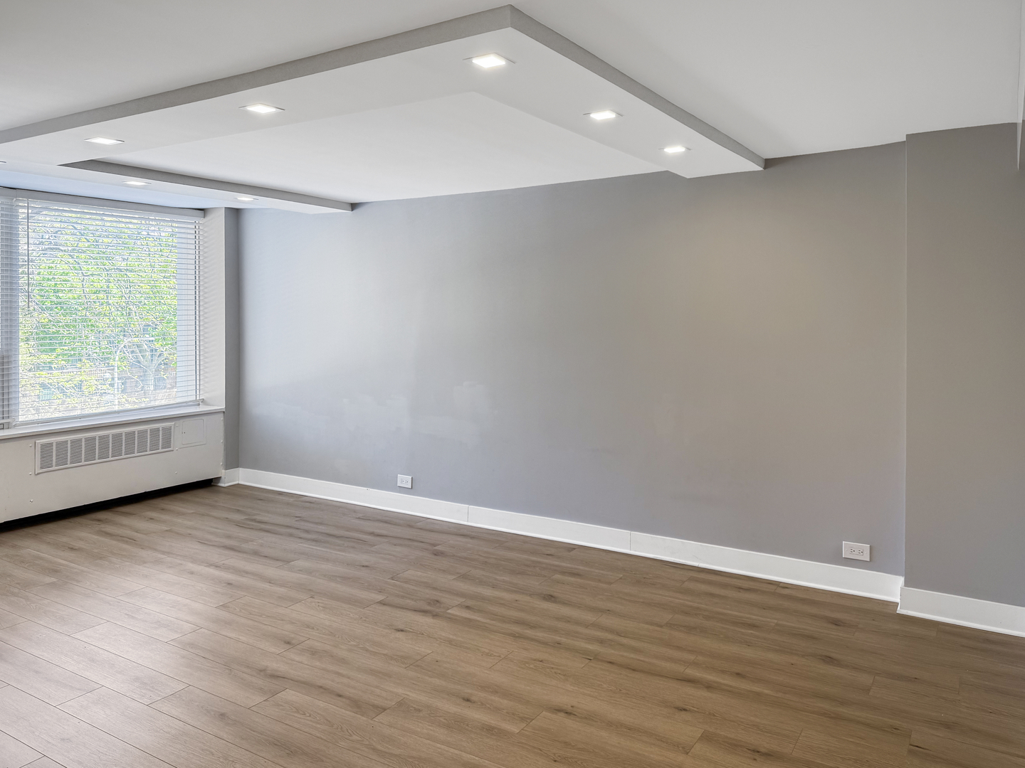 1355 N Sandburg Terrace 206D