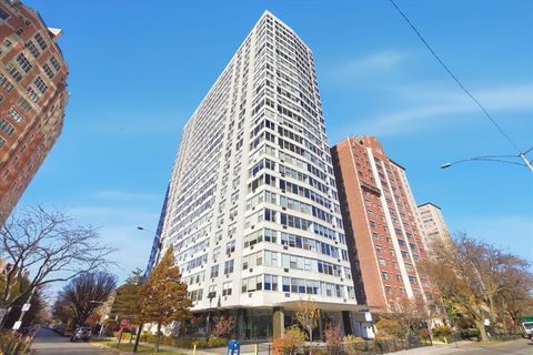 3900 N Lake Shore Drive 17G Chicago IL 60613