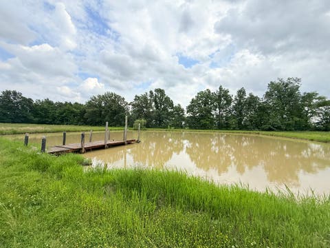 Tiny photo for 55 Curry Lane, Harrisburg, IL 62946 (MLS # 12653040)