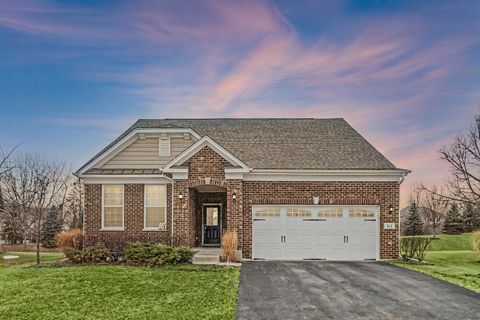 61 Pacific Avenue Hawthorn Woods IL 60047