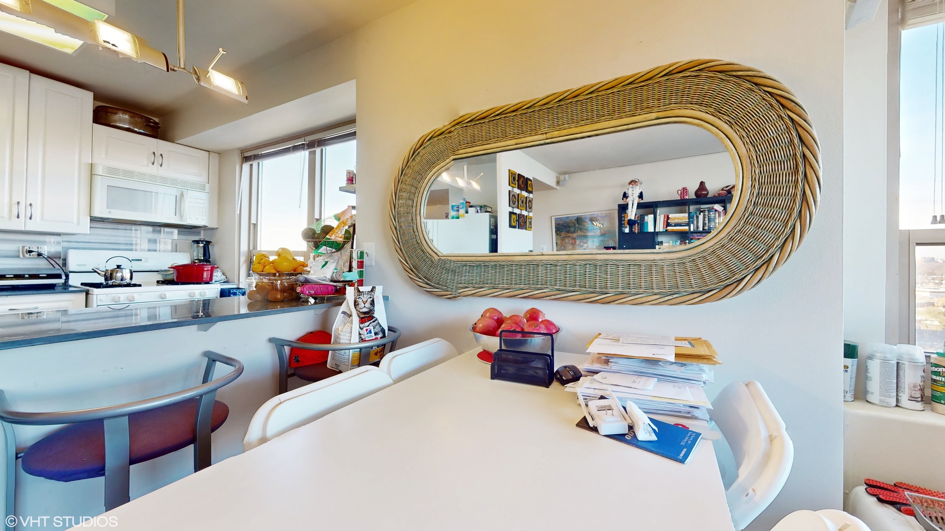 3950 N Lake Shore Drive 1511