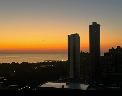 Tiny photo for 1560 N Sandburg Terrace #2008, Chicago, IL 60610 (MLS # 12731306)