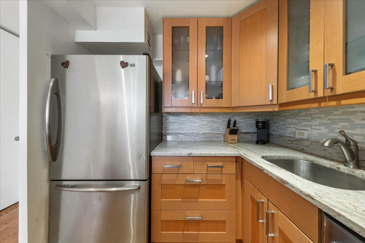 1355 N Sandburg Terrace 203D