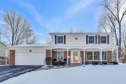 Photo of 436 N Stark Drive, Palatine, IL 60074 (MLS # 12556296)