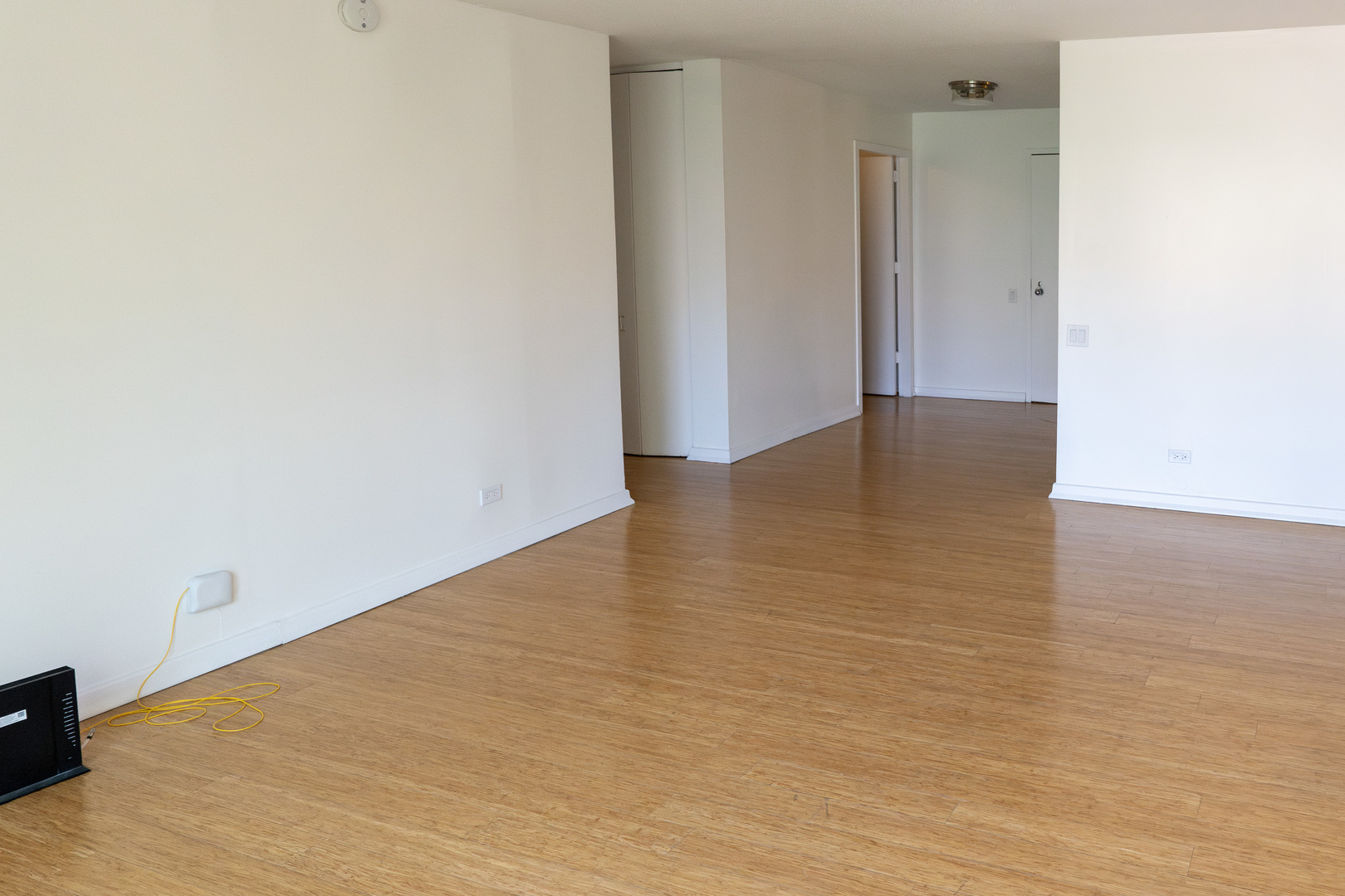 1169 S Plymouth Court 302