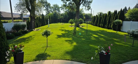 Tiny photo for 877 John Street, Bensenville, IL 60106 (MLS # 12706399)