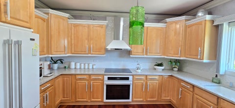Tiny photo for 877 John Street, Bensenville, IL 60106 (MLS # 12706399)