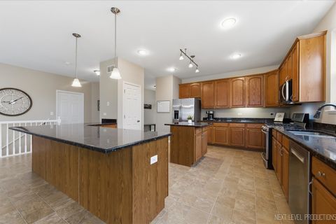 Tiny photo for 3254 Spokane Way, Montgomery, IL 60538 (MLS # 12601244)