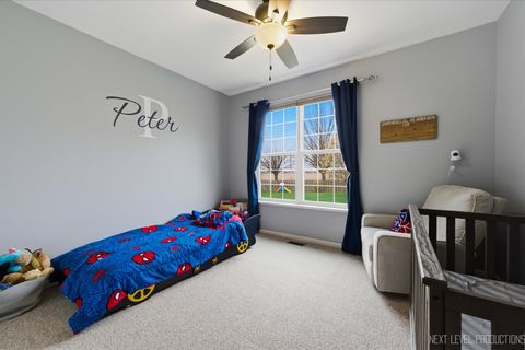 Tiny photo for 3254 Spokane Way, Montgomery, IL 60538 (MLS # 12601244)