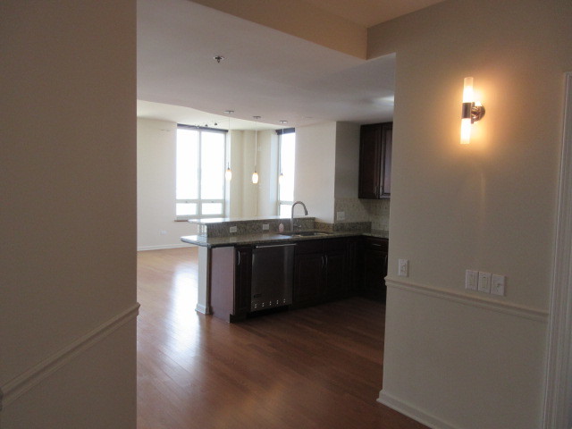 1111 S Wabash Avenue 3303