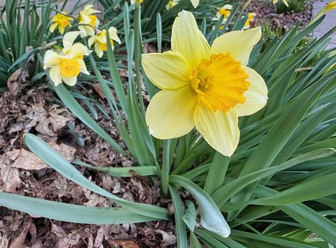 Tiny photo for 621 24th Avenue, Moline, IL 61265 (MLS # 12606940)