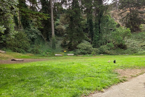 Tiny photo for 791 27th Street, San Francisco, CA 94131 (MLS # 12762701)