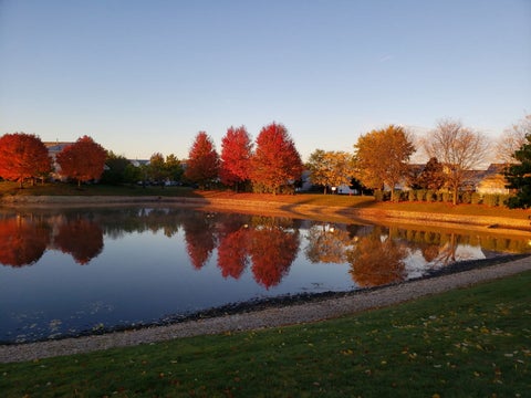 Tiny photo for 429 Merlot Court, Oswego, IL 60543 (MLS # 12665677)