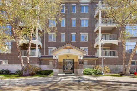 425 Village Green 213 Lincolnshire IL 60069