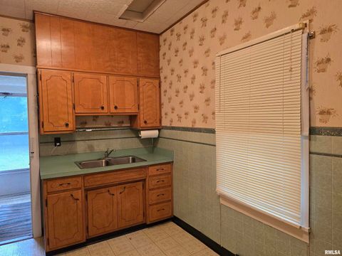 Tiny photo for 4760 RALEIGH Road, Eldorado, IL 62930 (MLS # EB460407)