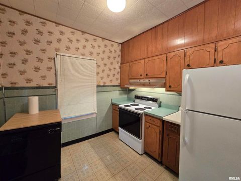 Tiny photo for 4760 RALEIGH Road, Eldorado, IL 62930 (MLS # EB460407)