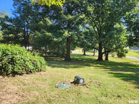 Tiny photo for 4760 RALEIGH Road, Eldorado, IL 62930 (MLS # EB460407)