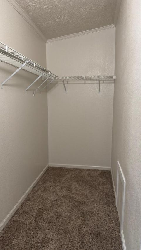 Tiny photo for 11744 Hafer Road, Carterville, IL 62918 (MLS # 12629806)