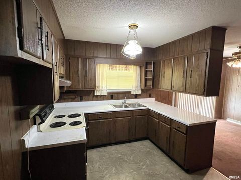 Tiny photo for 207 PATRICIA Lane, West Frankfort, IL 62896 (MLS # EB459879)