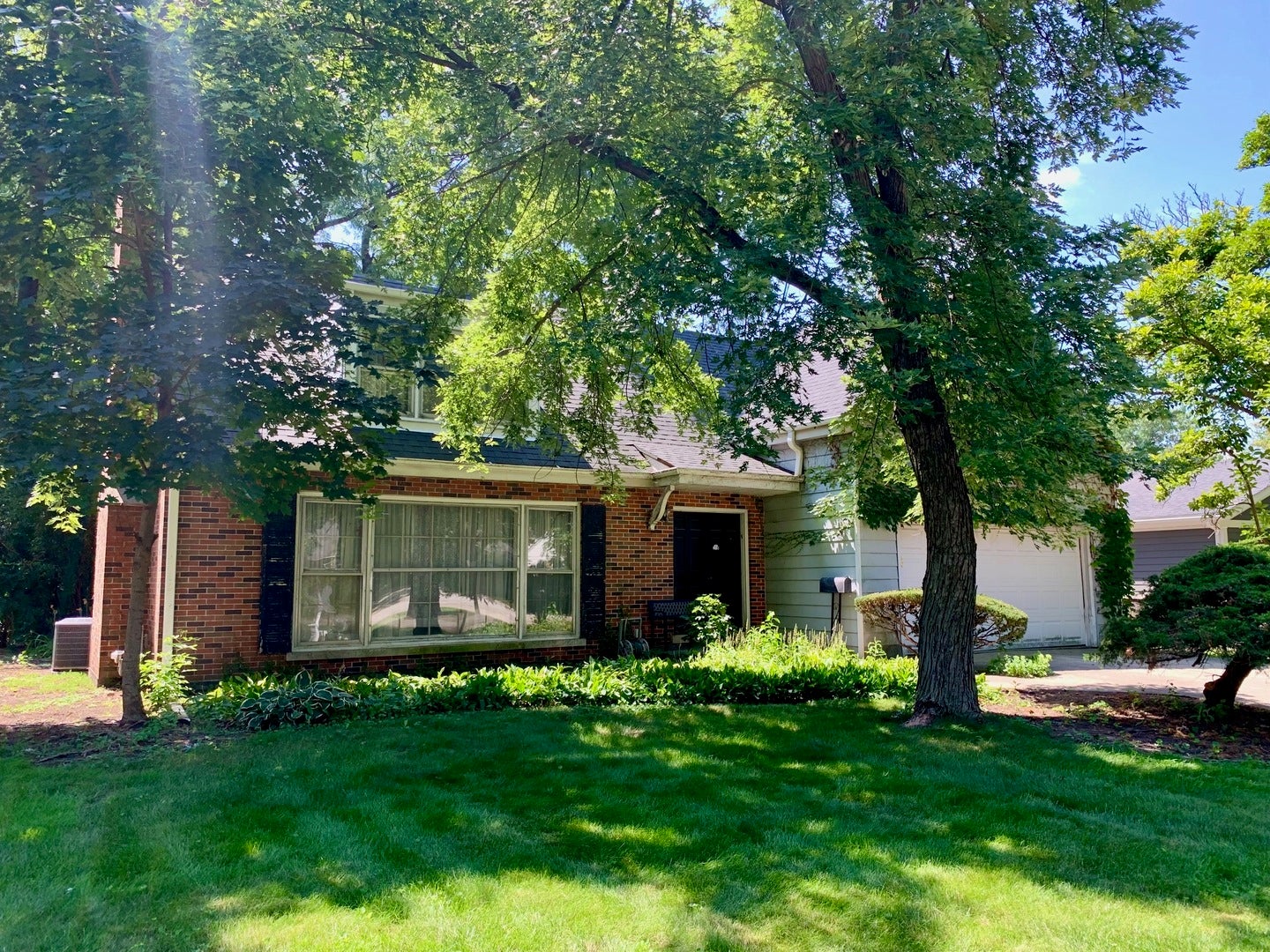 1131 Park Lane