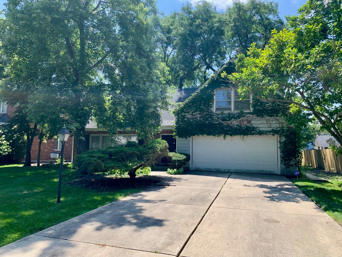 1131 Park Lane