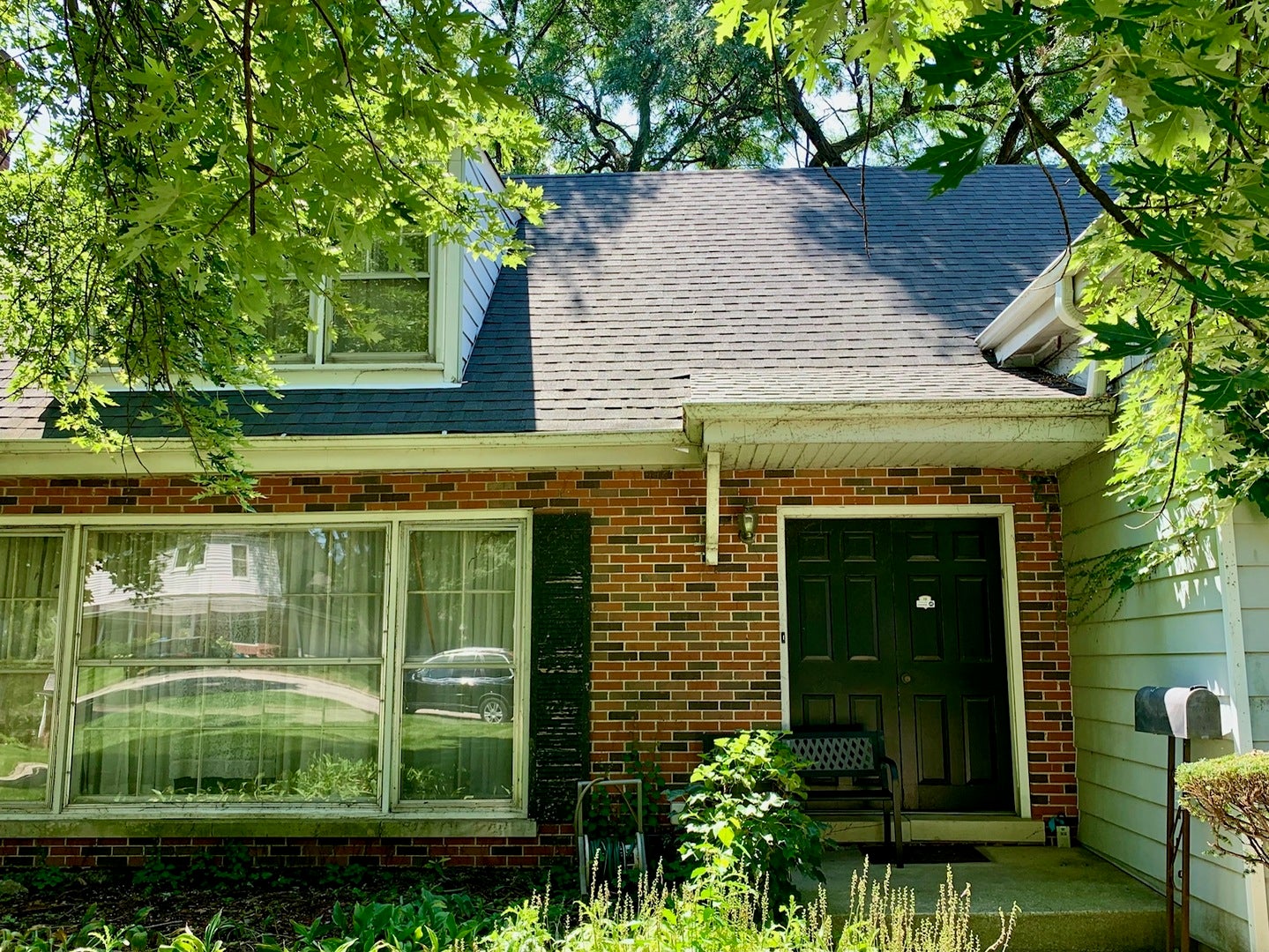 1131 Park Lane