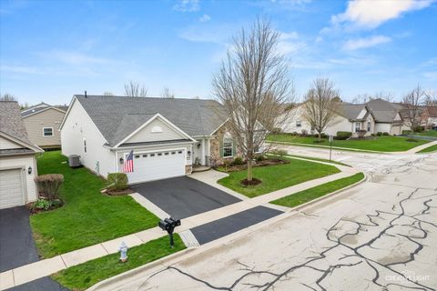 Tiny photo for Elgin, IL 60124 (MLS # 12617388)