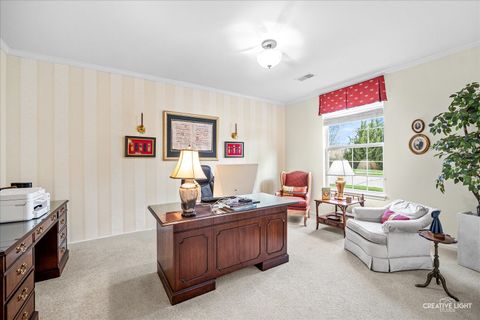 Tiny photo for Elgin, IL 60124 (MLS # 12617388)