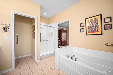 Tiny photo for Elgin, IL 60124 (MLS # 12617388)