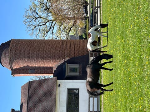 Tiny photo for 233 Valley Road, Trout Valley, IL 60013 (MLS # 12697740)