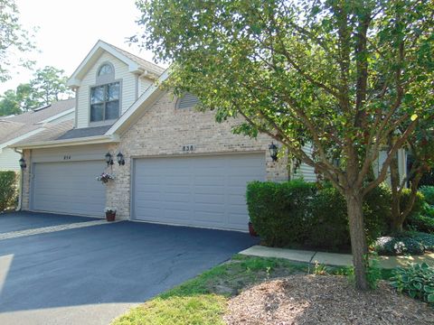 Photo of 858 N Auburn Woods Drive, Palatine, IL 60067 (MLS # 12491773)