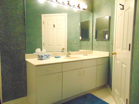 Tiny photo for 858 N Auburn Woods Drive, Palatine, IL 60067 (MLS # 12491773)