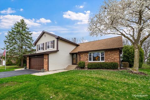 Tiny photo for 313 Bayberry Drive, Algonquin, IL 60102 (MLS # 12584823)
