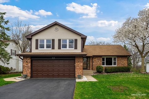 Photo of 313 Bayberry Drive, Algonquin, IL 60102 (MLS # 12584823)