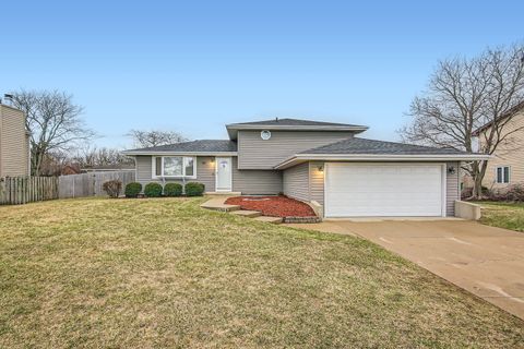 513 David Drive Shorewood IL 60404