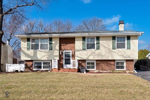 Photo of 2101 Jackson Branch Drive, New Lenox, IL 60451 (MLS # 12592230)