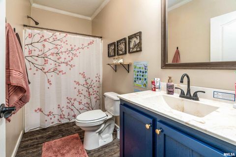 Tiny photo for 5673 Arctic Fox Drive, Carterville, IL 62918 (MLS # QC4269468)