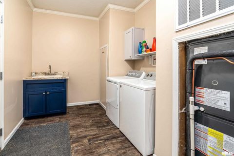 Tiny photo for 5673 Arctic Fox Drive, Carterville, IL 62918 (MLS # QC4269468)