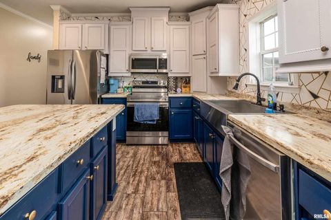 Tiny photo for 5673 Arctic Fox Drive, Carterville, IL 62918 (MLS # QC4269468)